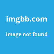 $USAi Logo